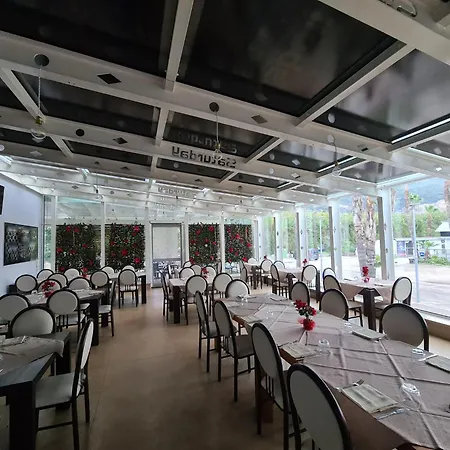 Saturday Пальма-Кампания