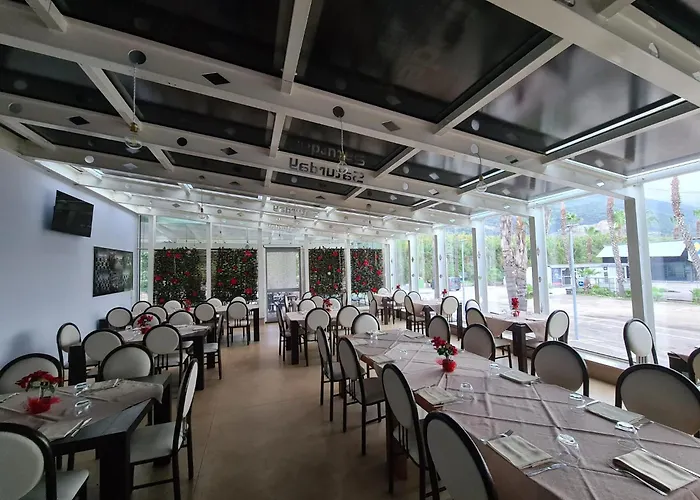 Saturday Пальма-Кампания